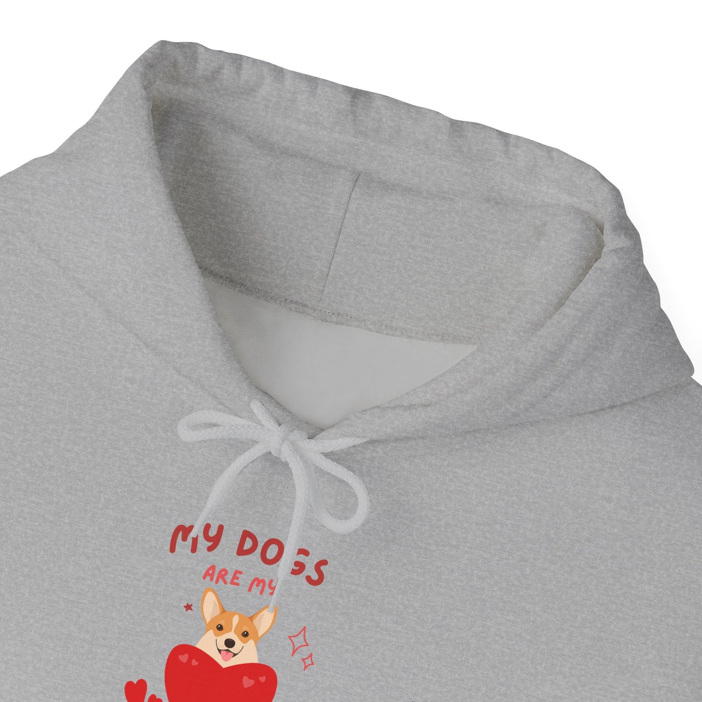 Unisex Heavy Blend™ Hooded Sweatshirt